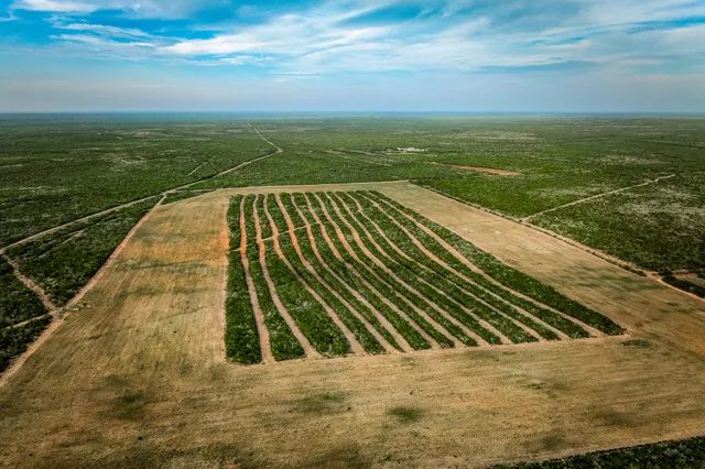 $3,250,000 | 5172 Cr 321 Freer Tx 78357, San Diego, TX 78384