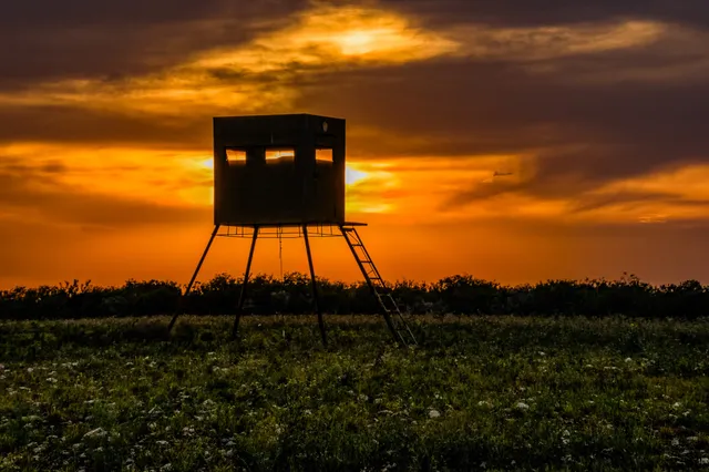 $3,250,000 | 5172 Cr 321 Freer Tx 78357, San Diego, TX 78384