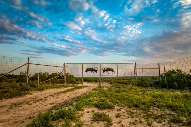 $3,250,000 | 5172 Cr 321 Freer Tx 78357, San Diego, TX 78384