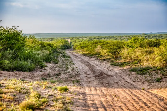 $3,250,000 | 5172 Cr 321 Freer Tx 78357, San Diego, TX 78384