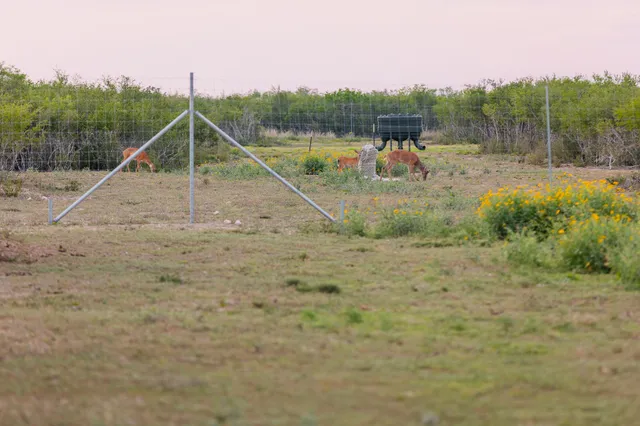 $3,250,000 | 5172 Cr 321 Freer Tx 78357, San Diego, TX 78384