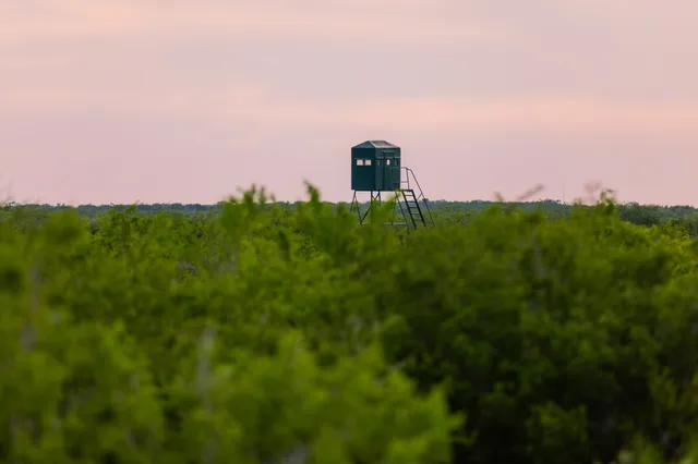 $3,250,000 | 5172 Cr 321 Freer Tx 78357, San Diego, TX 78384