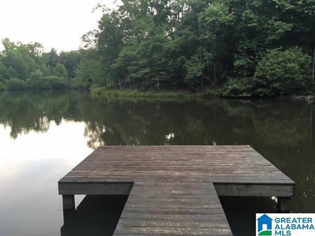 577 Wright Way Drive Wedowee, AL 36278 - Photo 28 of 39