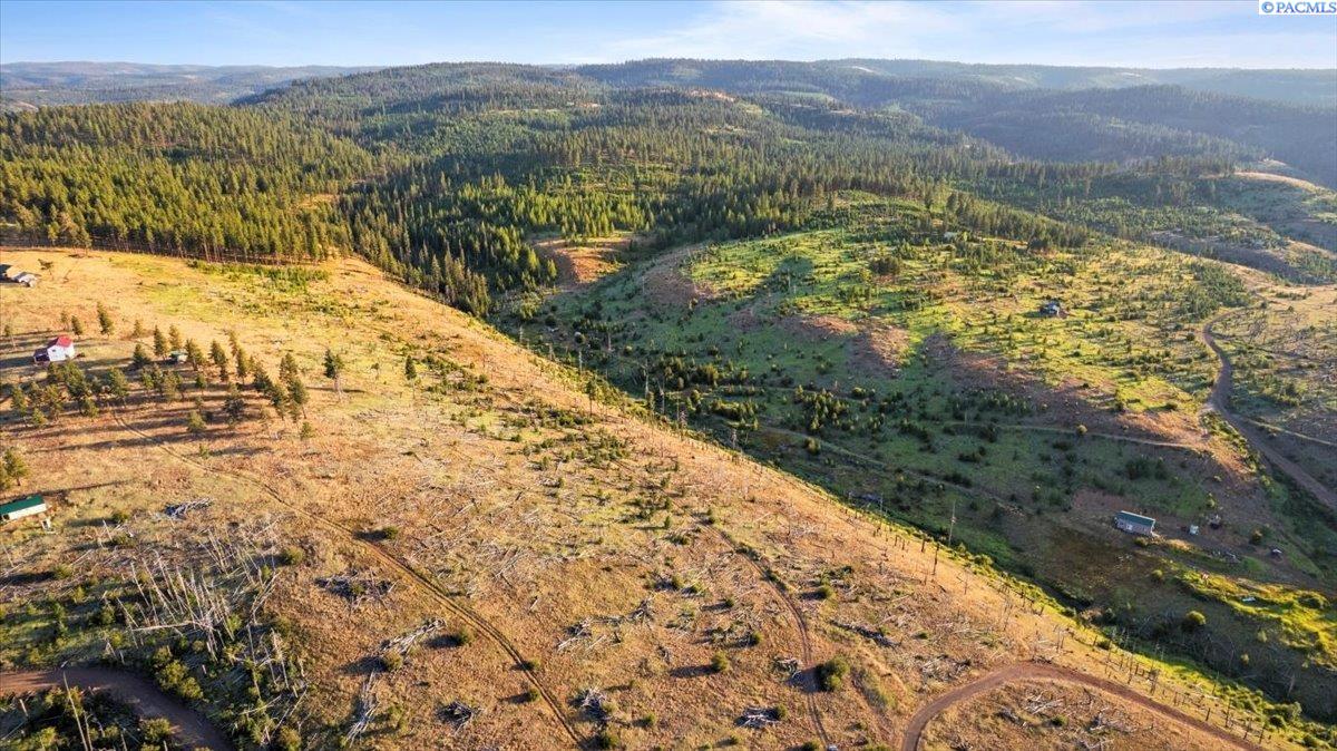 Lot1-tbd Lot1-tbd Stevens Ridge Pomeroy, WA 99347 - Photo 24 of 47 Gallery Image 24