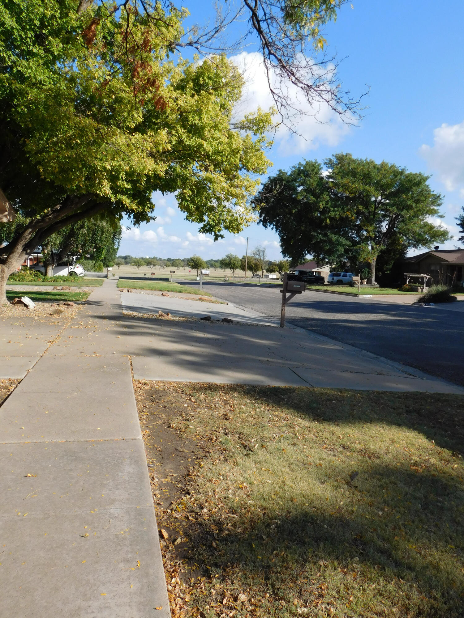 1730 West Ave F Muleshoe, TX 79347 - Photo 32 of 32 a view of a yard in front of the house