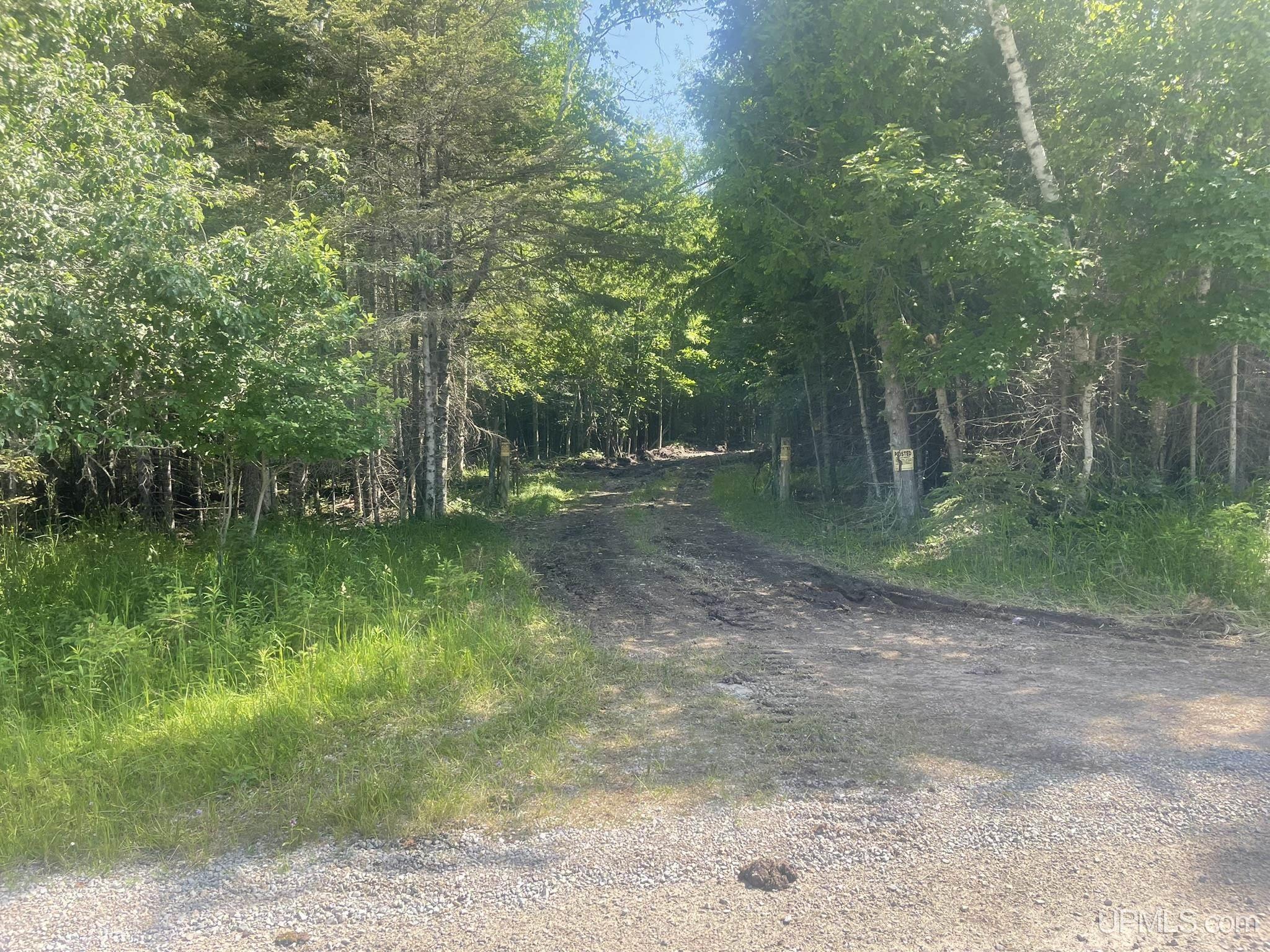 Tbd 17th Road Garden, MI 49835 - Photo 3 of 10