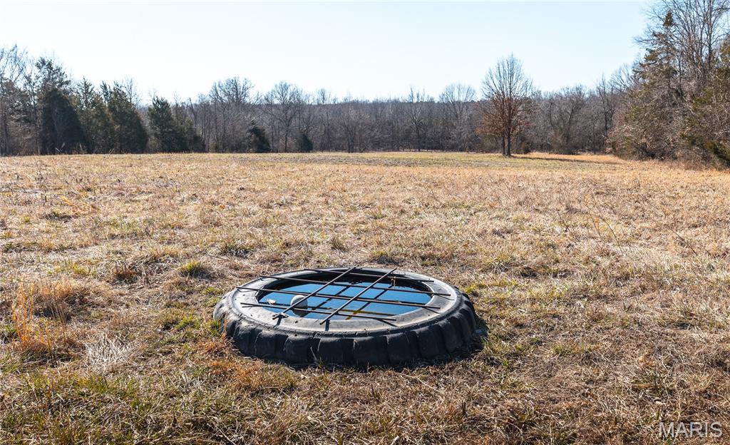 11373 Thunder Ridge Road Richwoods, MO 63071 - Photo 35 of 93