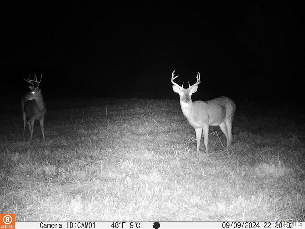 11373 Thunder Ridge Road Richwoods, MO 63071 - Photo 86 of 93