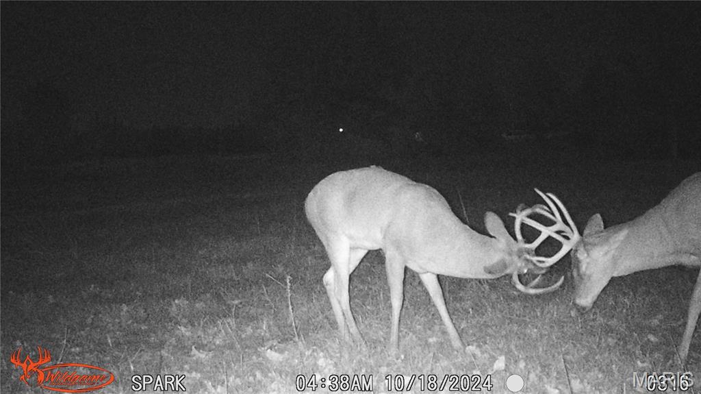 11373 Thunder Ridge Road Richwoods, MO 63071 - Photo 87 of 93