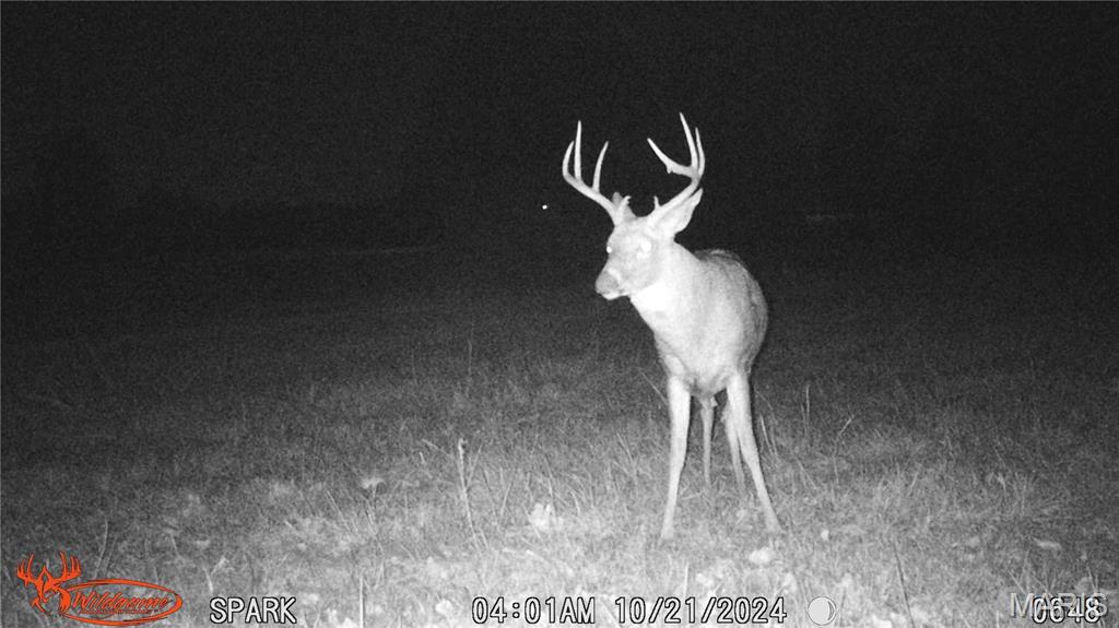 11373 Thunder Ridge Road Richwoods, MO 63071 - Photo 88 of 93