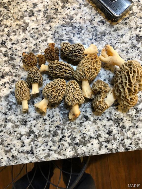 11373 Thunder Ridge Road Richwoods, MO 63071 - Photo 89 of 93