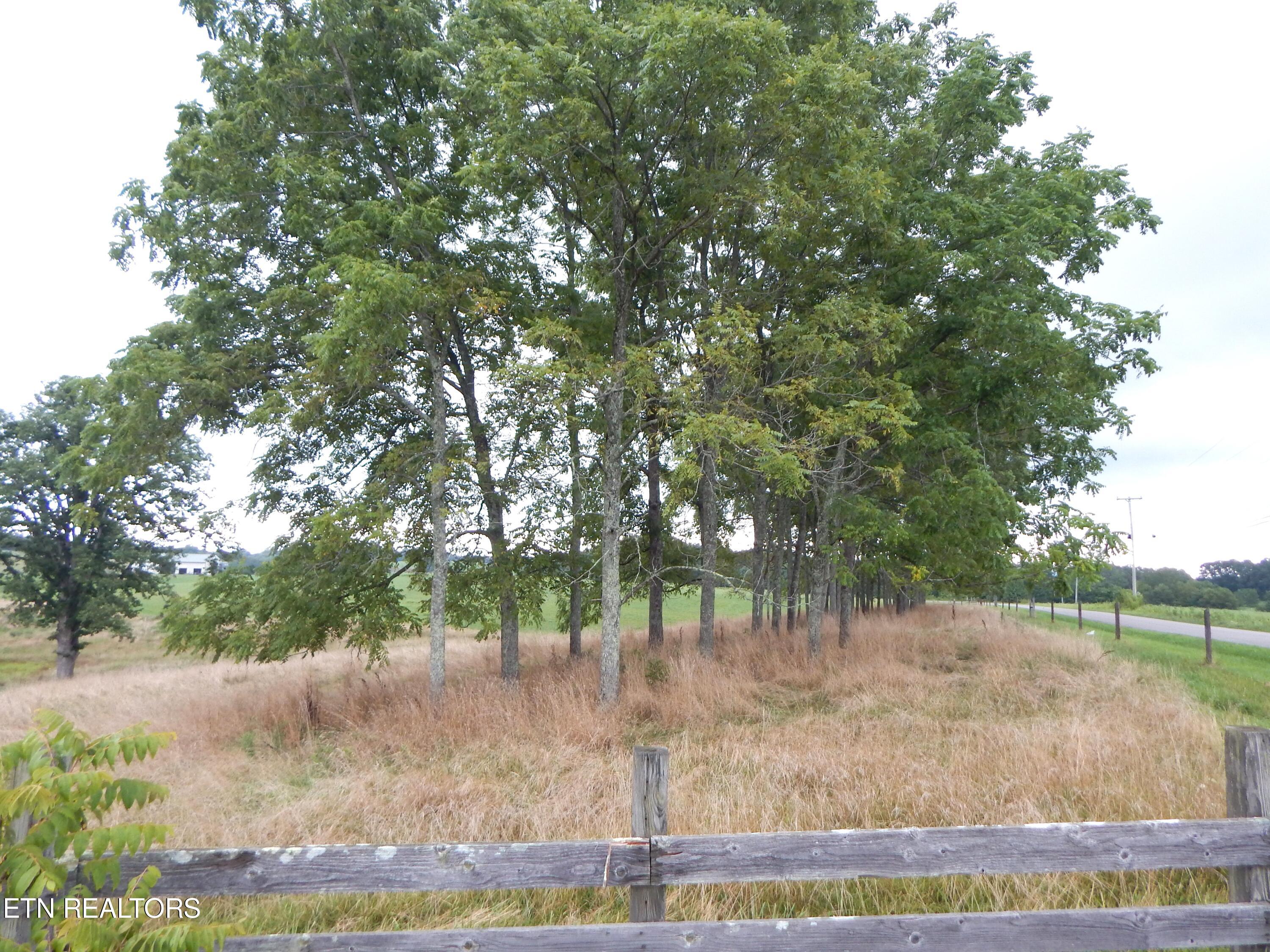 2551 Leffle Webb Road Crossville, TN 38572 - Photo 11 of 60 DSCN8543