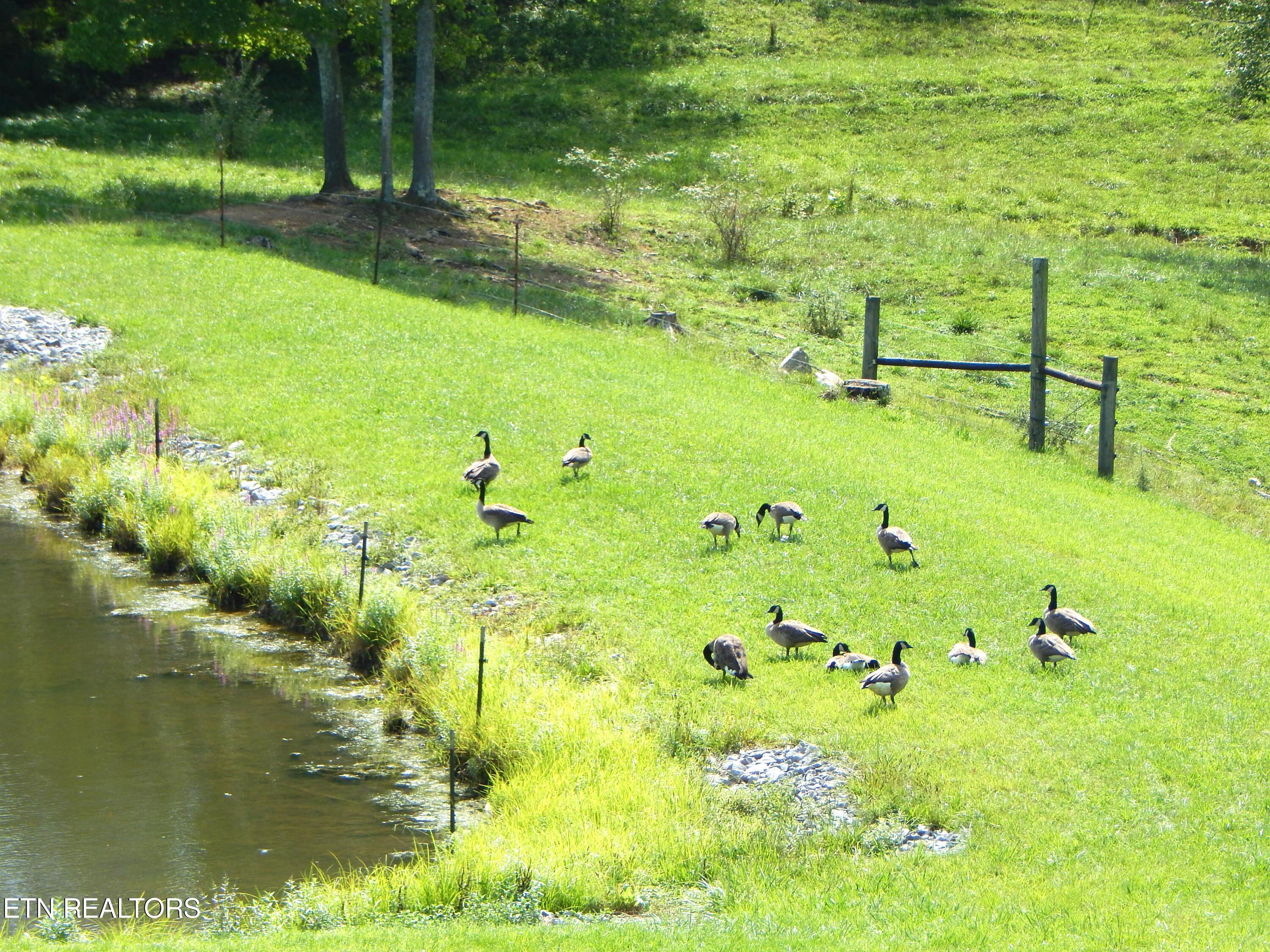 2551 Leffle Webb Road Crossville, TN 38572 - Photo 41 of 60 DSCN8482
