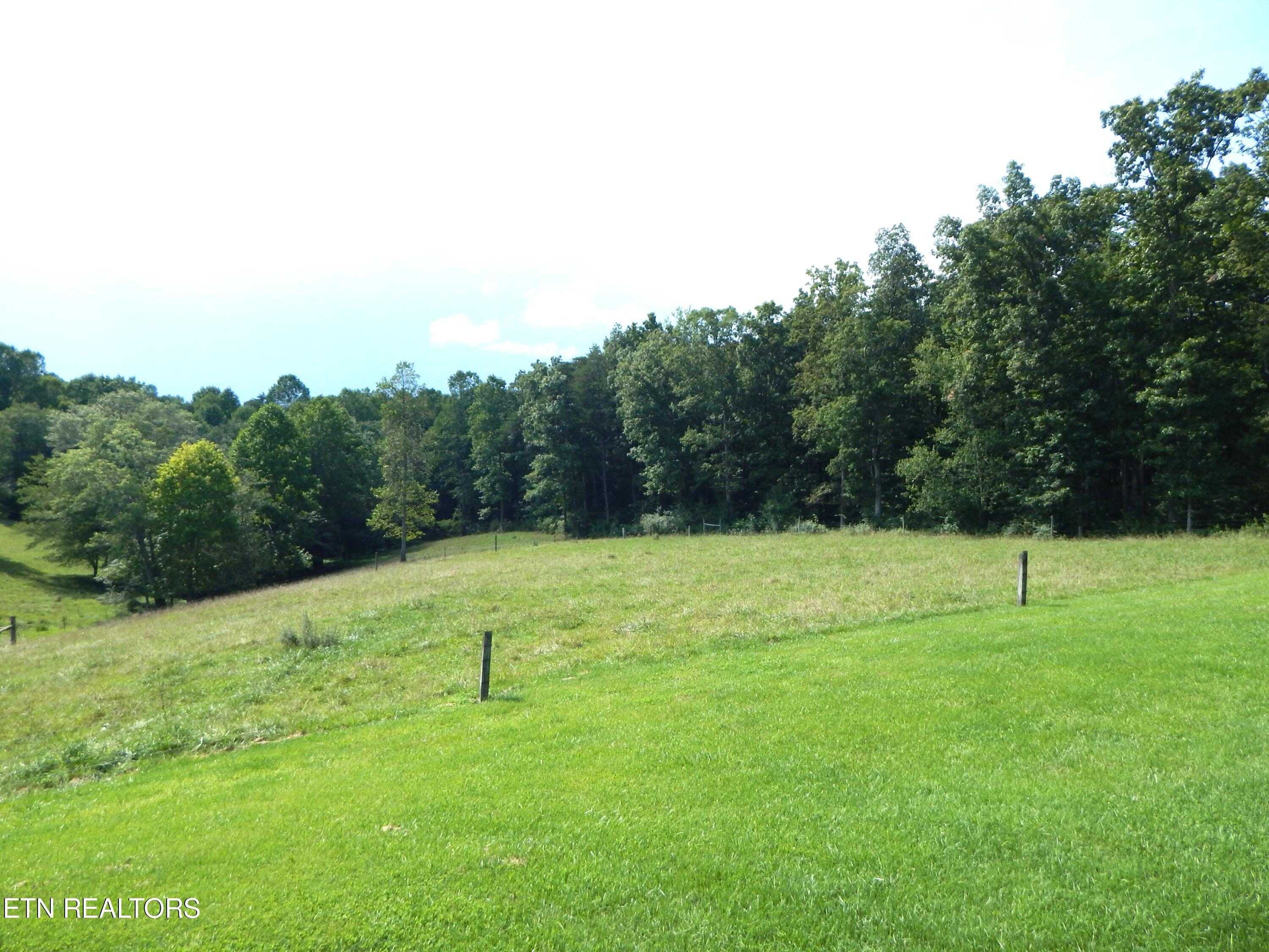 2551 Leffle Webb Road Crossville, TN 38572 - Photo 42 of 60 DSCN8483