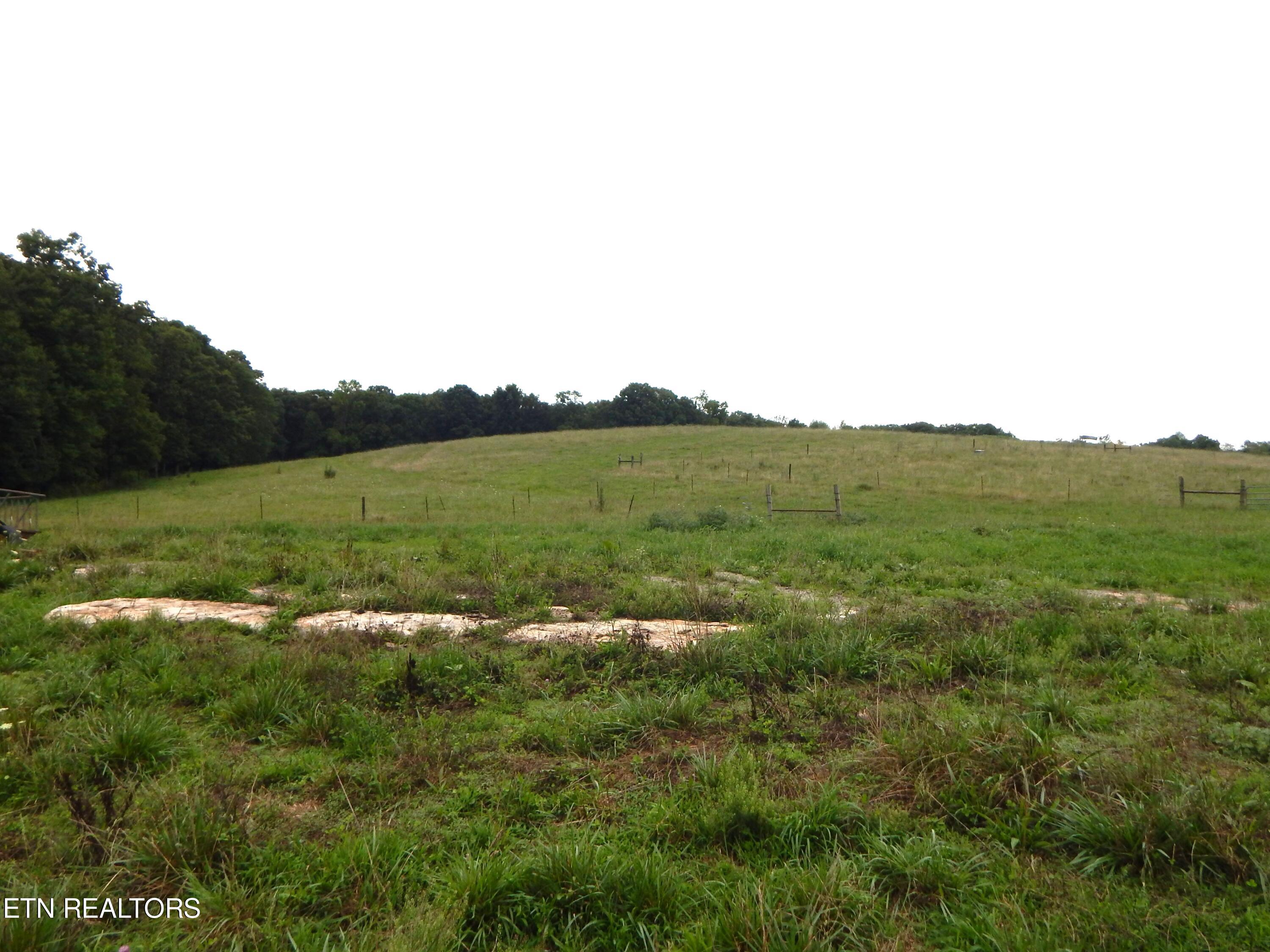 2551 Leffle Webb Road Crossville, TN 38572 - Photo 57 of 60 DSCN8510