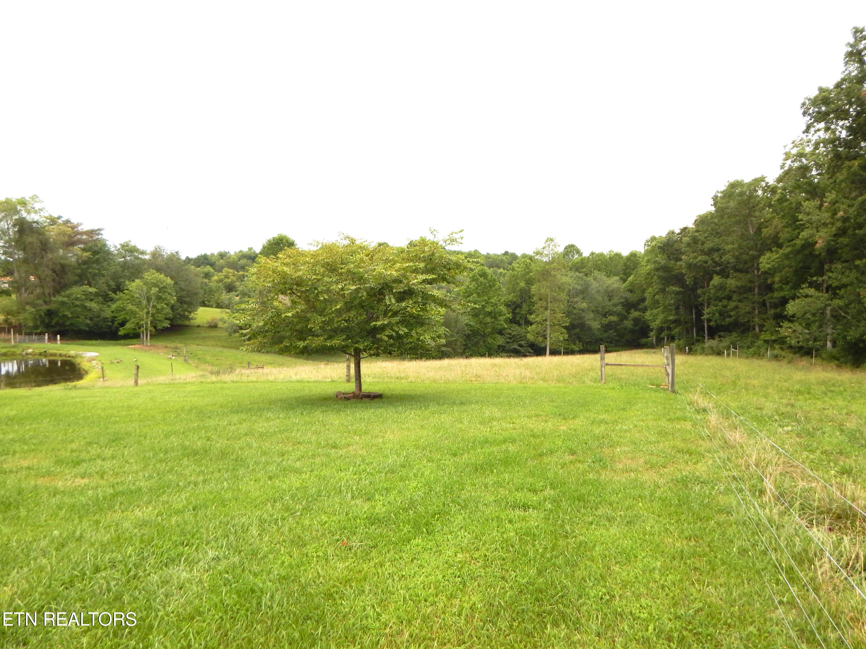 2551 Leffle Webb Road Crossville, TN 38572 - Photo 60 of 60 DSCN8524