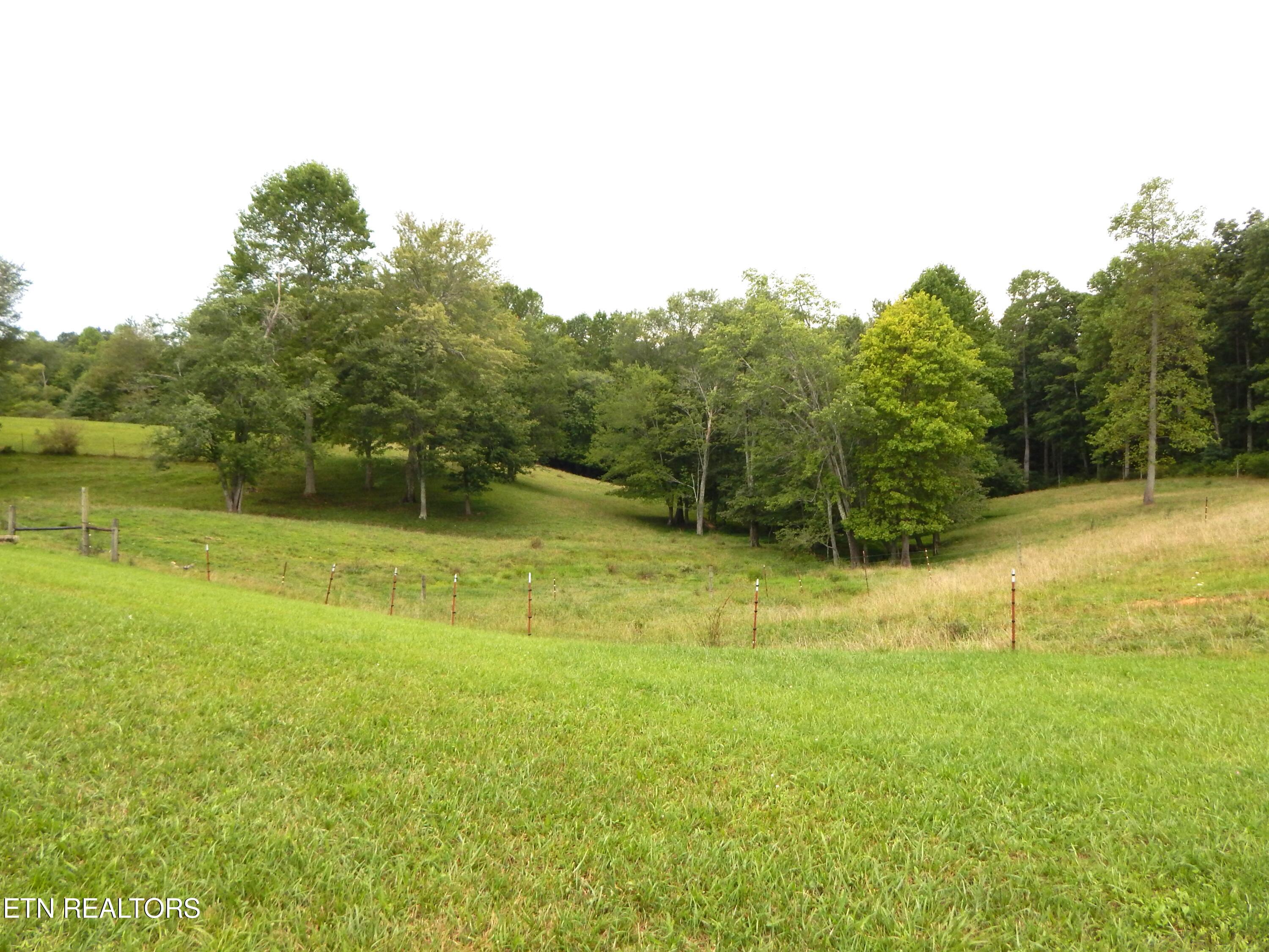 2551 Leffle Webb Road Crossville, TN 38572 - Photo 10 of 60 DSCN8531