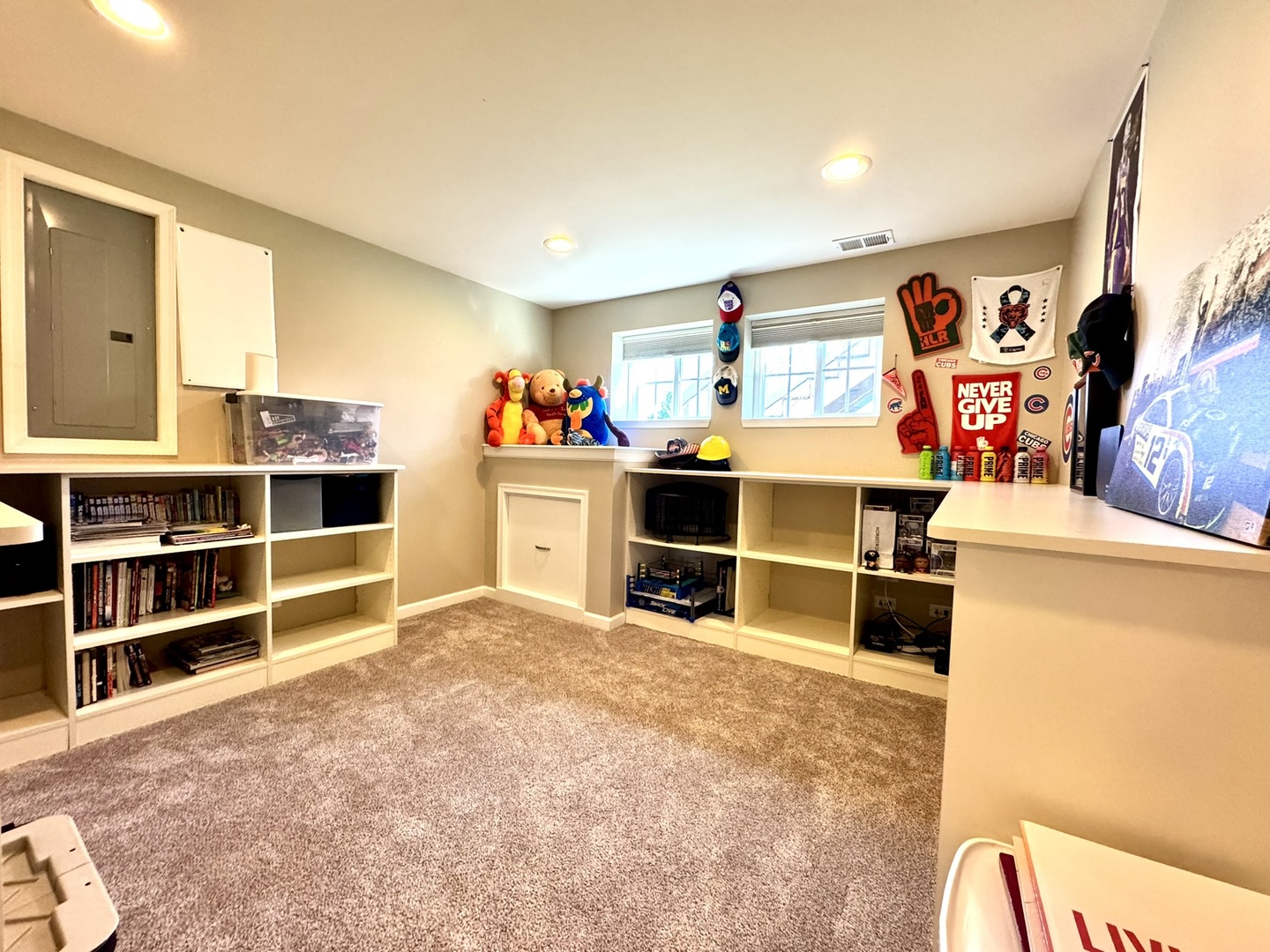 12903 Cypress Lane Plainfield, IL 60585 - Photo 23 of 30 a room with furniture and window