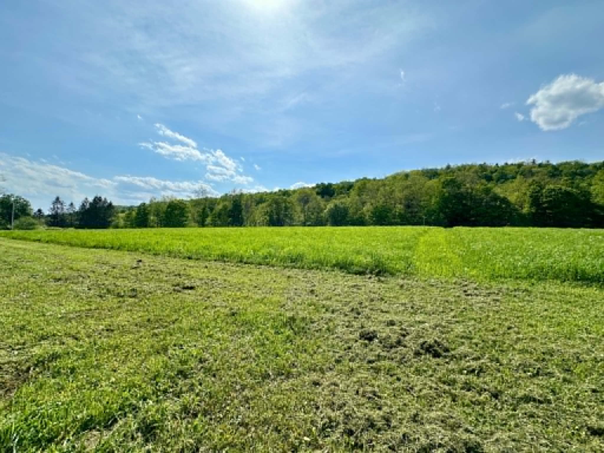 Lot A Sweet Pond Road, Unit LOT 1 Guilford, VT 05301 - Photo 3 of 9