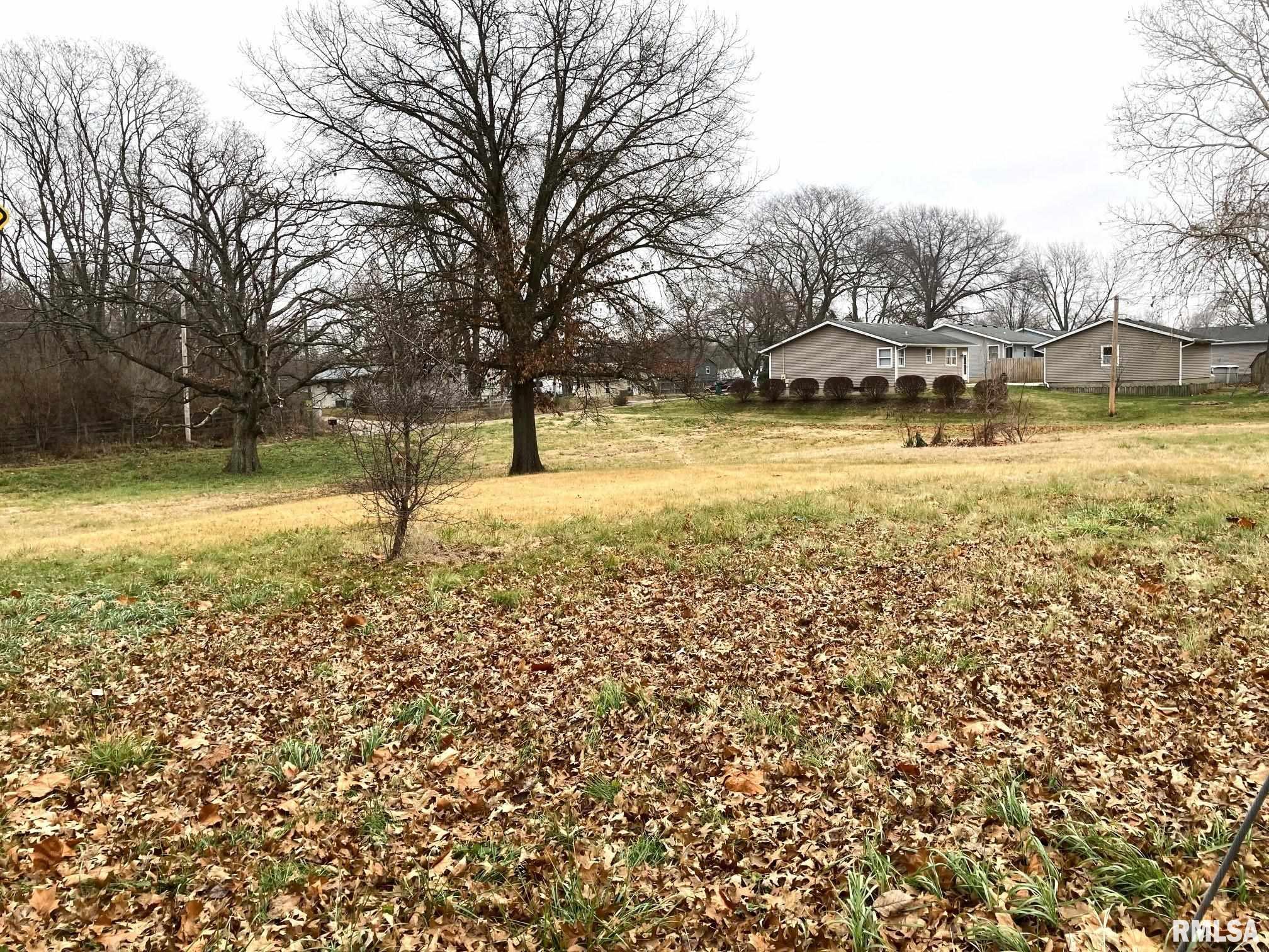 3724 Sangamo Heights Road Springfield, IL 62702 - Photo 8 of 22