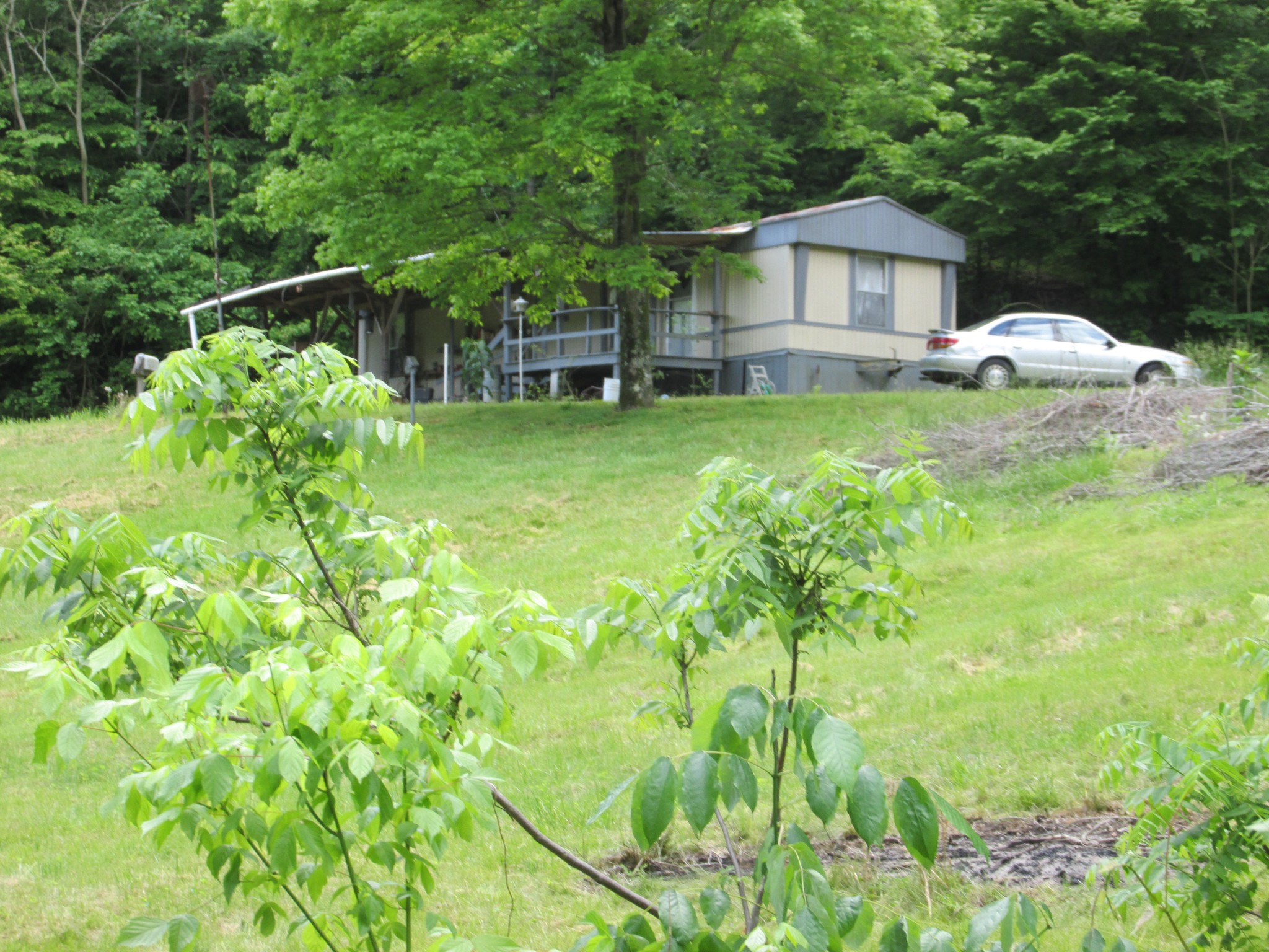 2100 Muckle Branch Road Ethridge, TN 38456 - Photo 1 of 23 Gallery Image 1