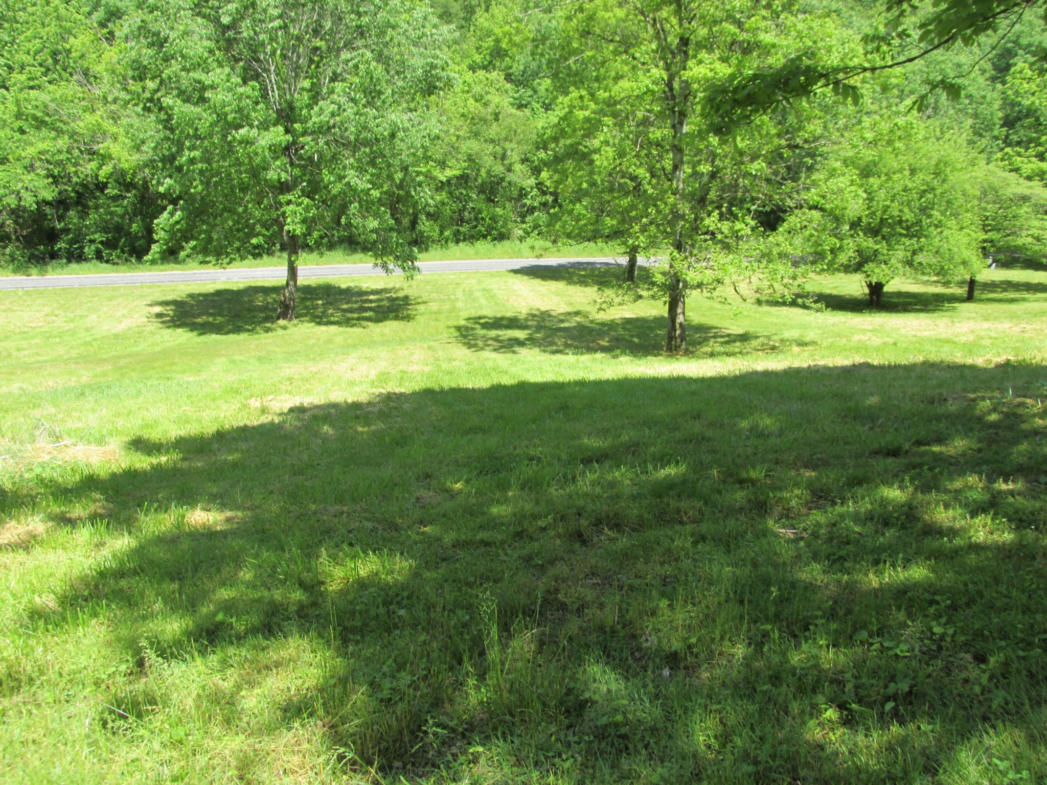 2100 Muckle Branch Road Ethridge, TN 38456 - Photo 12 of 23 Gallery Image 12