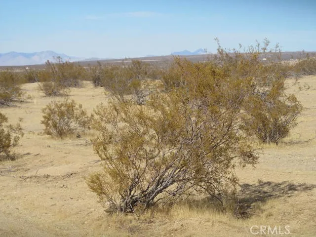 5007 Brown Edwards, CA 93523 - Photo 6 of 10 a view of lake