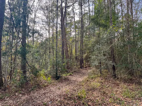 a view of mountain with sunset