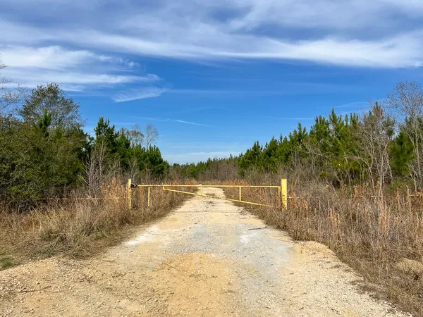 a view of a yard and mountain in the background