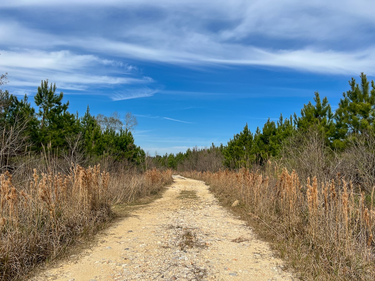 T-1 Lakeview Road Vidor, TX 77662 - Photo 14 of 18