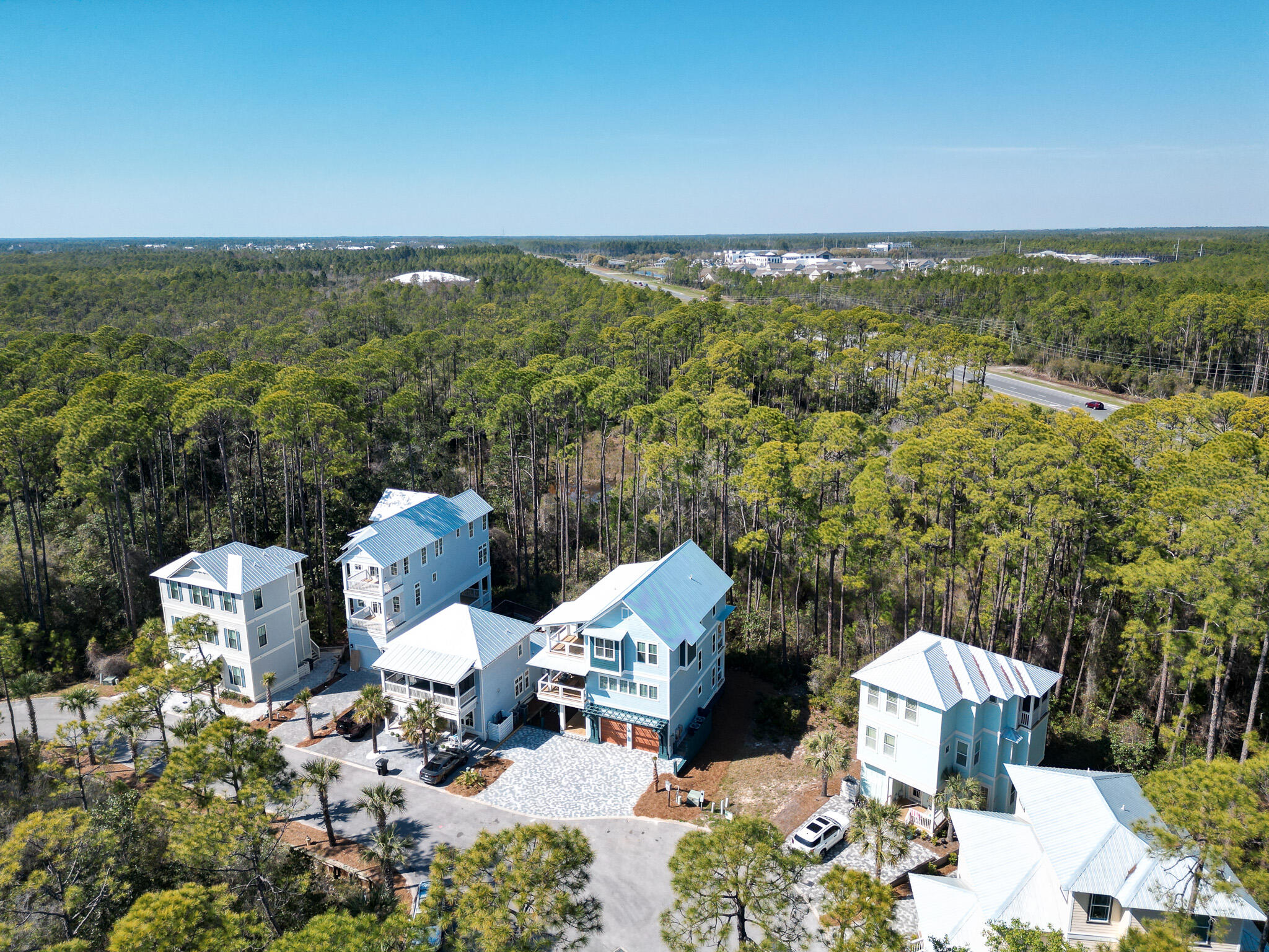 85 Silver Maple Drive Inlet Beach, FL 32461 - Photo 4 of 5 a view of a city
