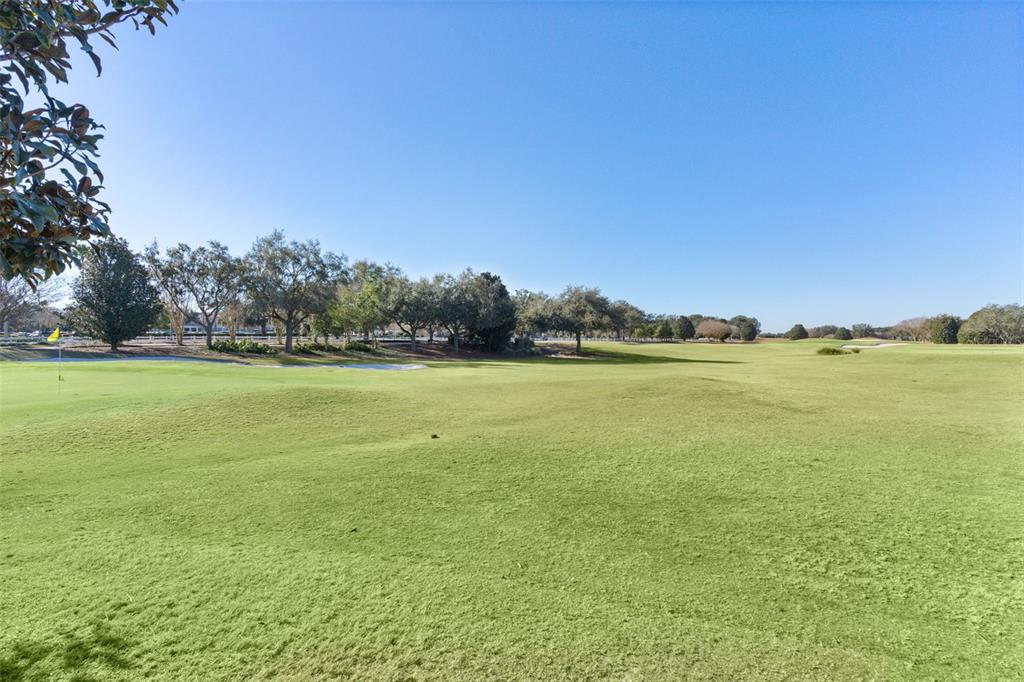 737 Dowding Way The Villages, FL 32162 - Photo 53 of 64