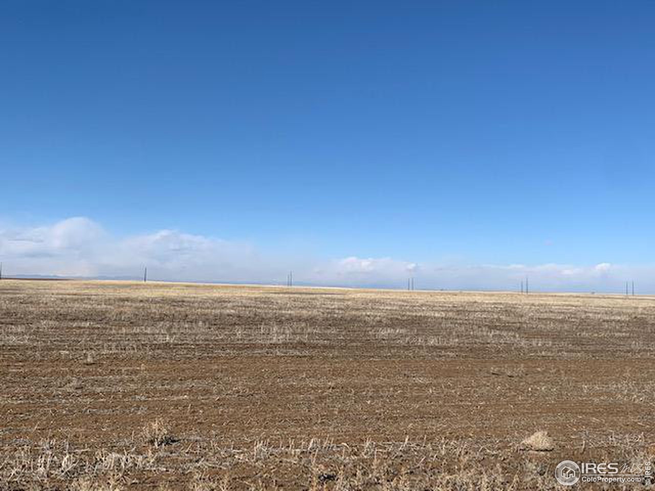 0 Parcel 3 - Tbd Manilla Road Bennett, CO 80102 - Photo 19 of 25 Bring your animals. All are allowed. Only restrictions are those of Adams County.