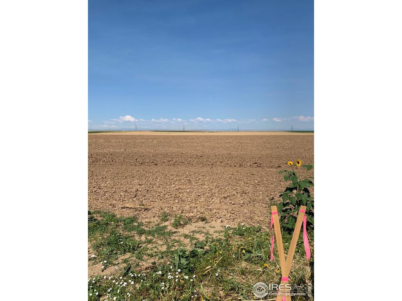 0 Parcel 3 - Tbd Manilla Road Bennett, CO 80102 - Photo 4 of 25 Property lines marked, surveyed and pinned.