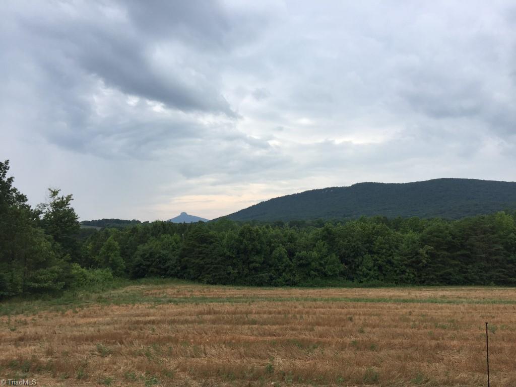 Lot 1 Gentry Farm Road King, NC 27021 - Photo 1 of 4