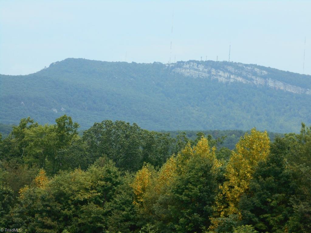 Lot 1 Gentry Farm Road King, NC 27021 - Photo 2 of 4