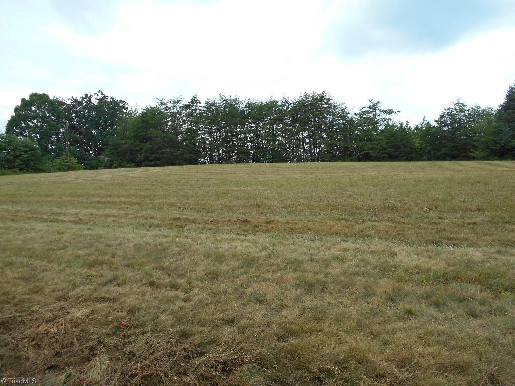 Lot 1 Gentry Farm Road King, NC 27021 - Photo 4 of 4