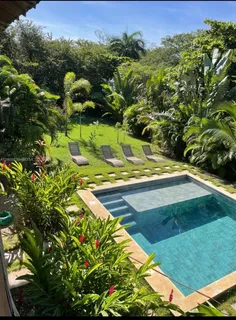 a view of a yard with plants