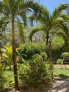 $1,650,000 | Condominium Hotel Playa N Santa Cruz