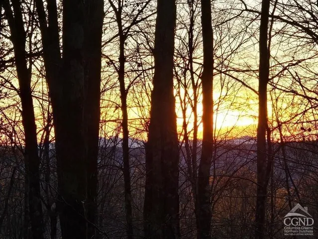 a view of mountain view with lots of trees