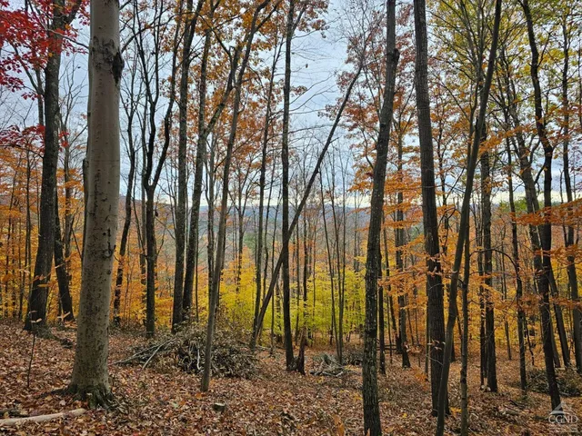 $90,000 | 189 Covenant Circle, New Lebanon, NY 12062