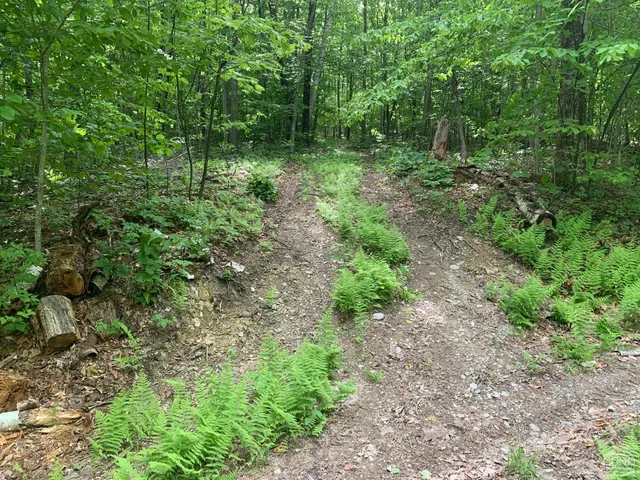 a view of a large yard with lots of green space