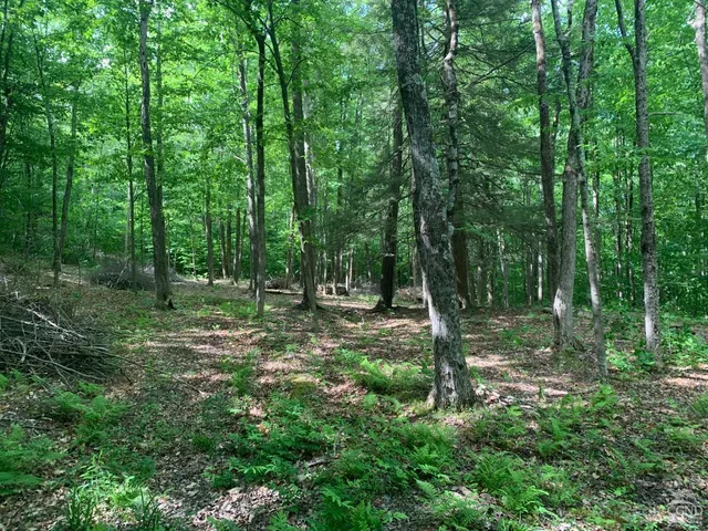 a view of outdoor space and green space