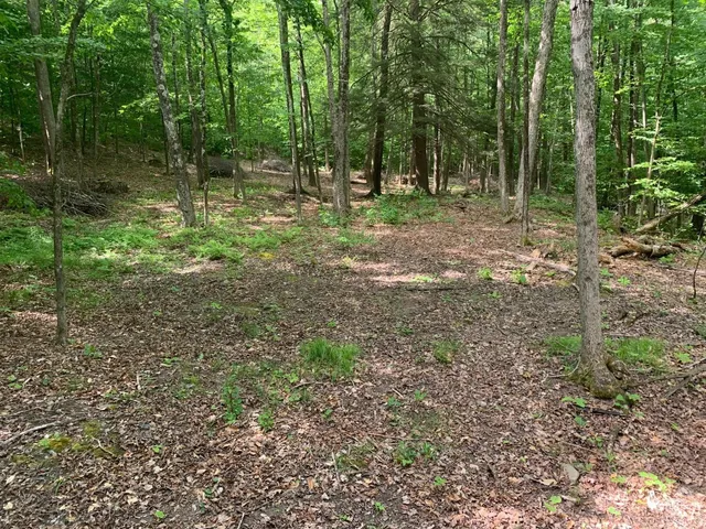 a backyard of a house with lots of green space
