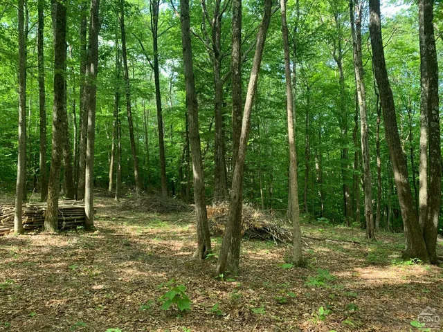 a view of outdoor space with lots of trees