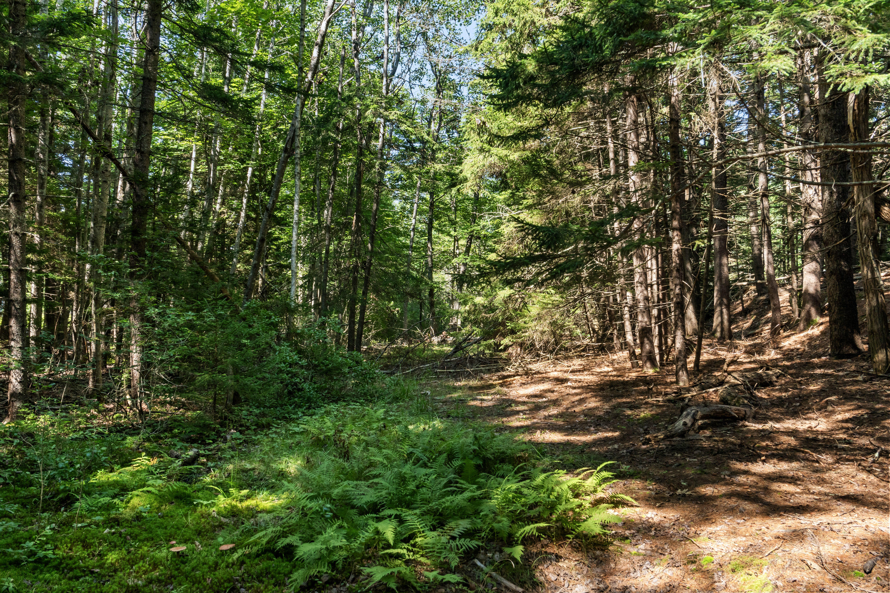 2 Allen Point Road Harpswell, ME 04079 - Photo 7 of 10 Allen Point Rd Lot 145-1_105