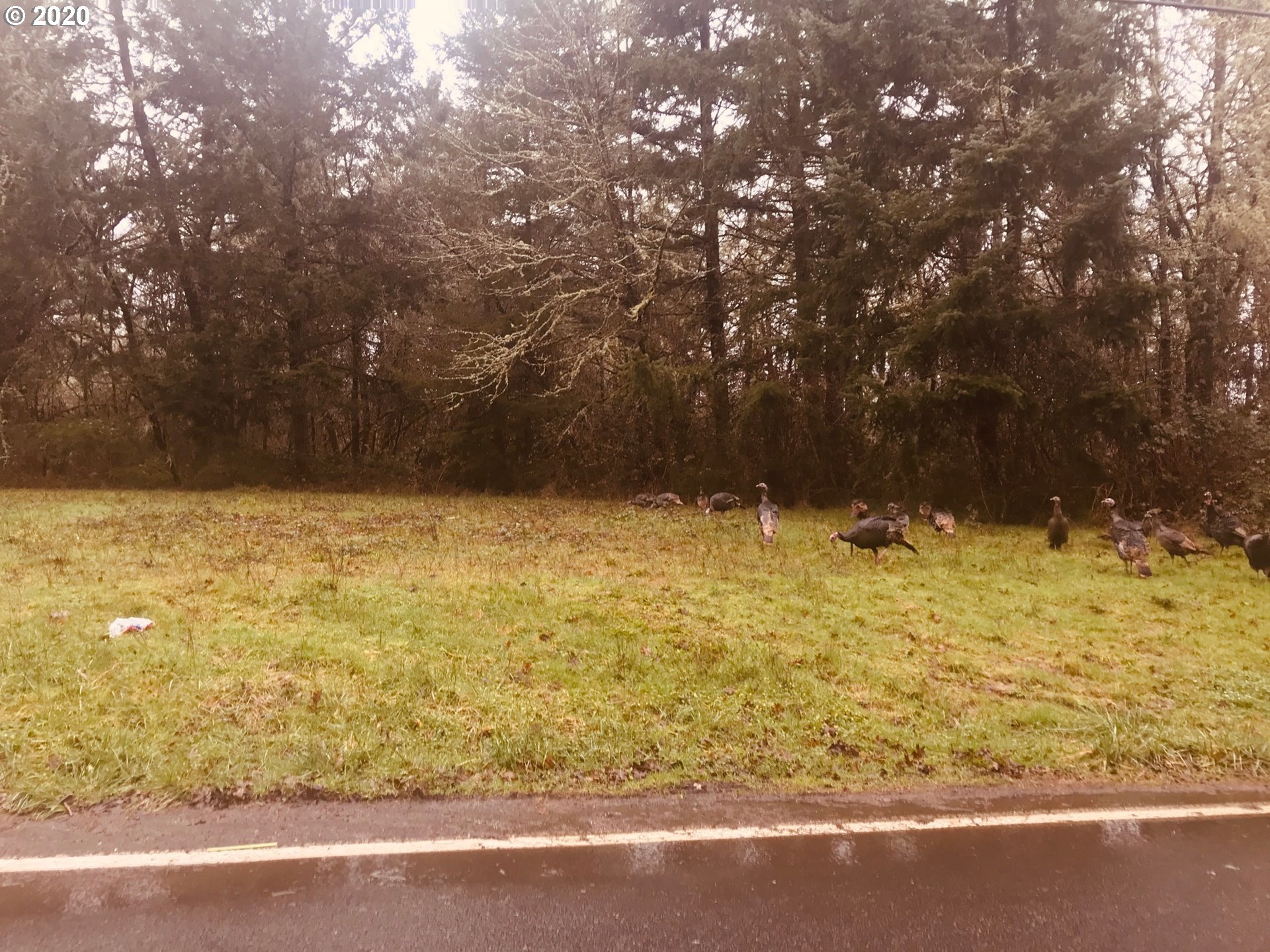 24747 Sertic Road Veneta, OR 97487 - Photo 23 of 31 Gallery Image 23