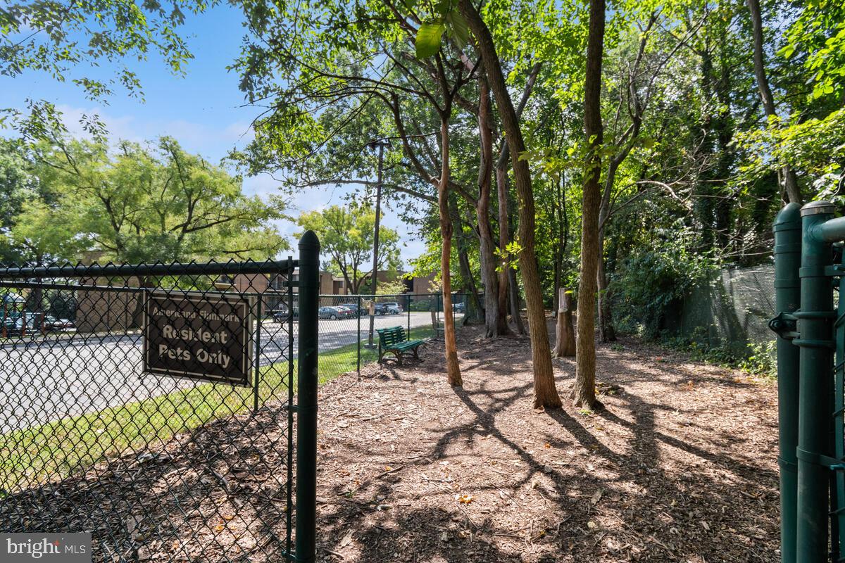 2016 Coleridge Drive, Unit 24102 Silver Spring, MD 20902 - Photo 41 of 41