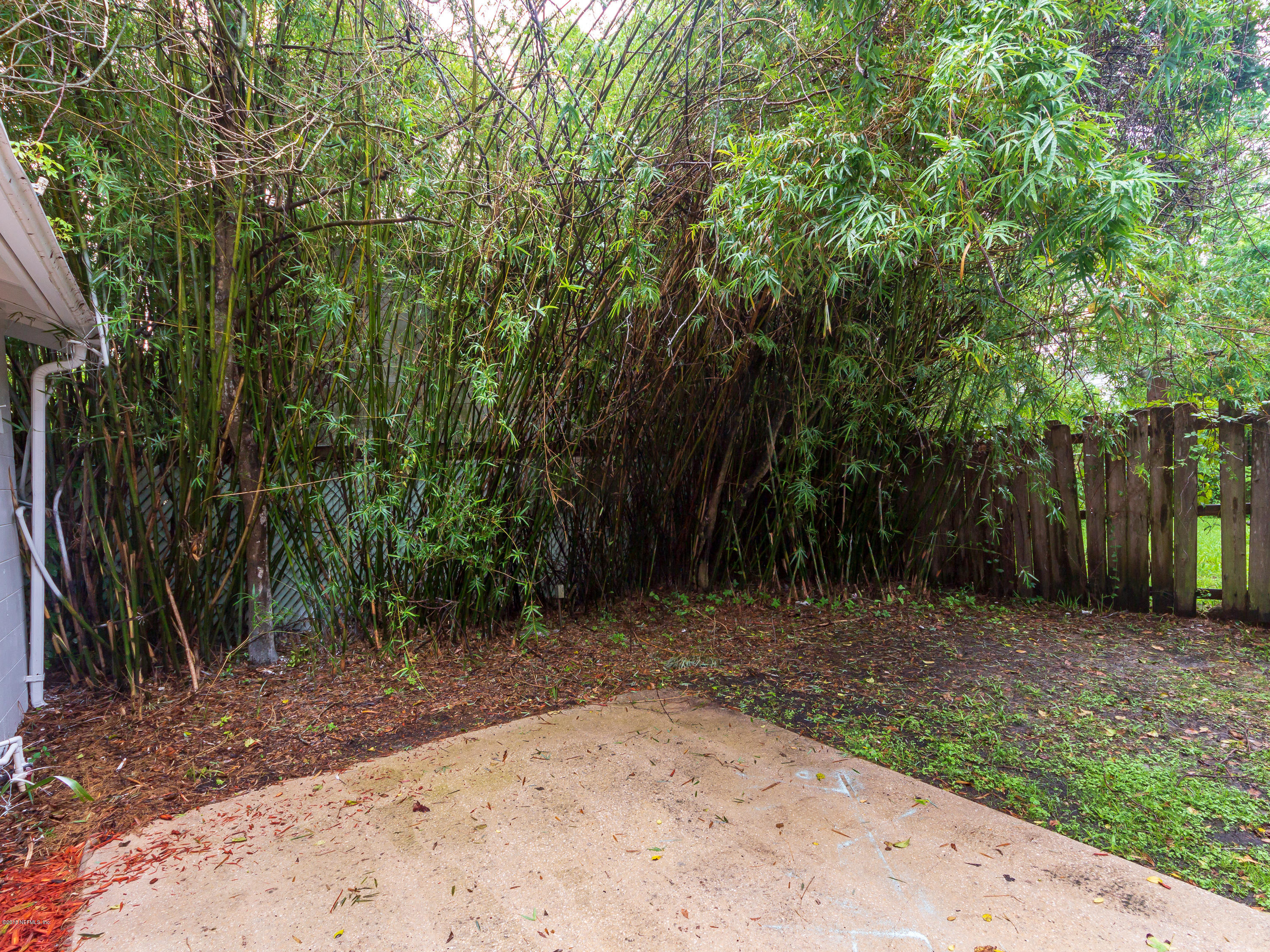 1026 Riviera Street Jacksonville, FL 32207 - Photo 48 of 48 a view of backyard with green space