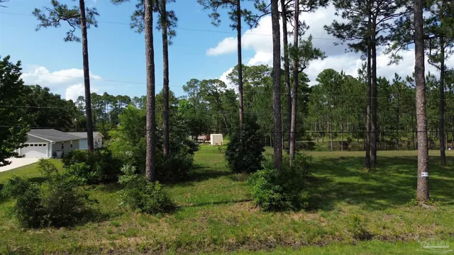 a view of backyard with green space